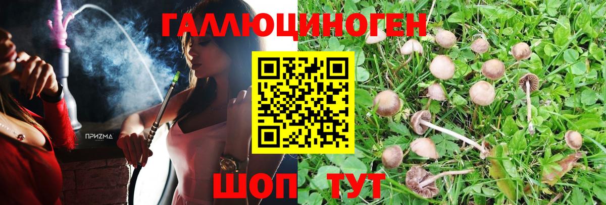 Галлюциногенные грибы Psilocybe  Вход с VPN  Галлюциногенные грибы мухоморы  Майский 