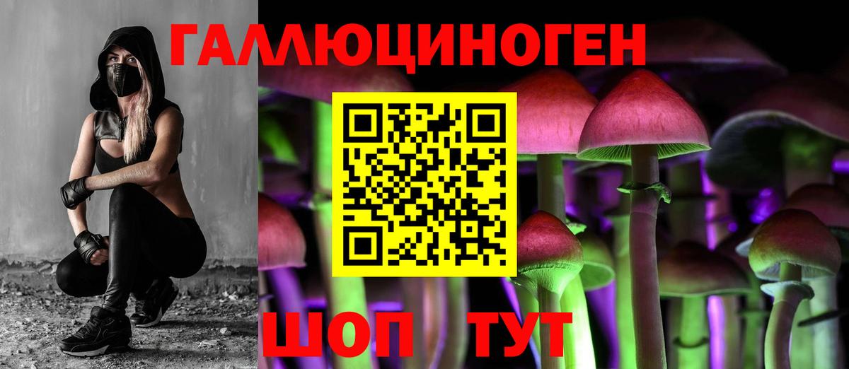 Псилоцибиновые грибы Magic Shrooms Майский